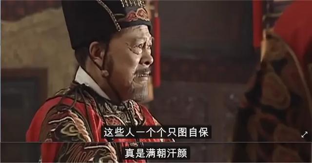老亮剑演员表全部员表，老亮剑演员表全部员表田雨（《大明王朝1566》9位一级演员）
