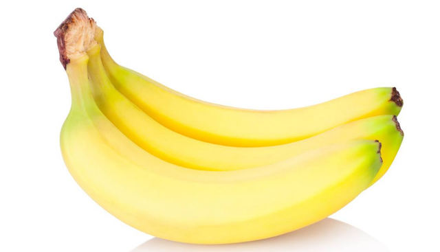 泰迪吃什么食物好，泰迪吃什么食物最好（泰迪越吃越健康）