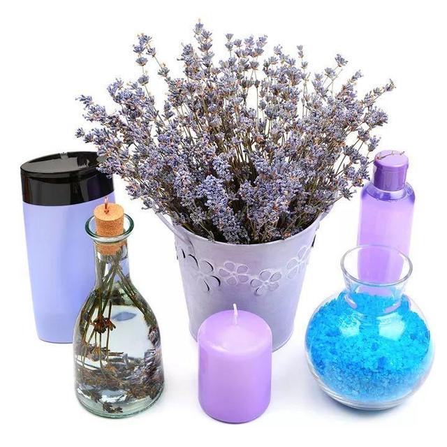 不锈钢盆可以放烤箱吗，烤箱里可以放不锈钢盆吗（10种花最养人）