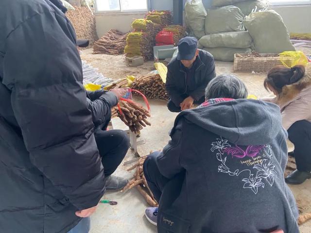 小白嘴山药和铁棍山药有什么区别，小白嘴山药和铁棍山药功效一样吗（铁棍山药价格乱象调查）