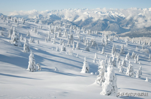 下雪天打雷是什么征兆 下雪打雷老人古人说法是什么，下雪天打雷是什么征兆（十个牛栏九个空”啥意思）