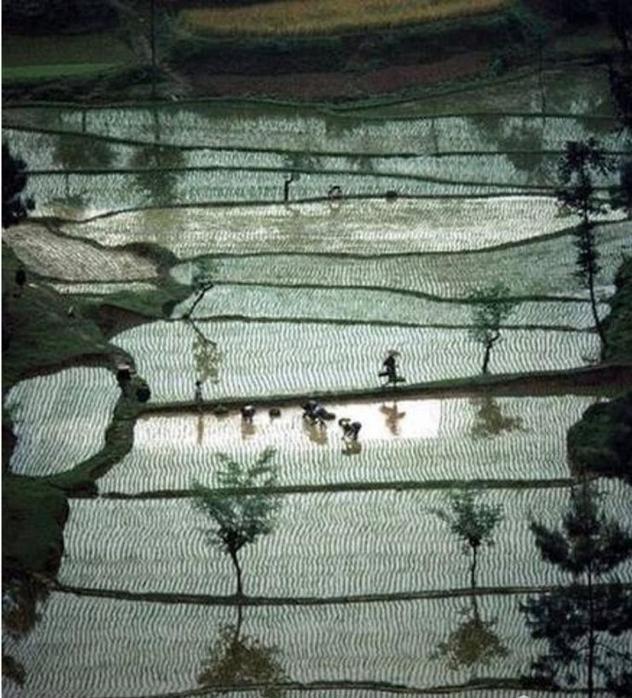 1981年属鸡人永远最旺的数字，1981年属鸡的幸运数字和颜色（时光记忆：1981年的中国）