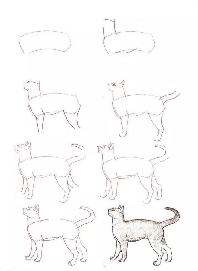 简笔画小猫教程，小猫简笔画一步一步教（8步教你学会画各种猫简笔画）