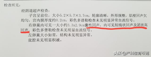 女人的卵巢是什么东西，女人的卵巢是什么样的（妇科B超报告之卵巢）