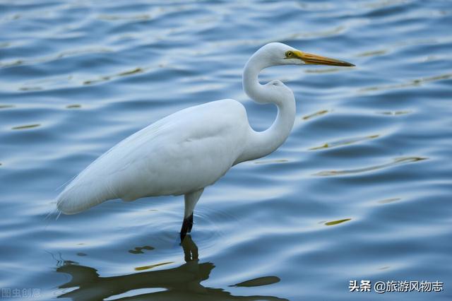 厦门十大最美海岛是什么，厦门最美的五个岛是哪里（盘点厦门10个岛屿）