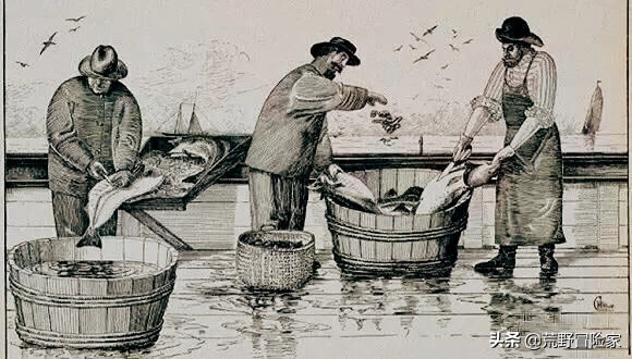 为什么北极的鳕鱼冻不死，鳕鱼只有冷冻的吗（大西洋鳕鱼与普通鳕鱼根本不是一回事）