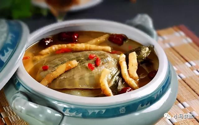 蒸甲鱼的做法，怎样做清蒸甲鱼（11款甲鱼做法）