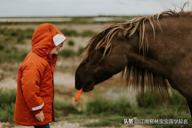 有含义的名字，有含义的名字女生（300个精选尚书、论语中新颖有内涵的好名字）