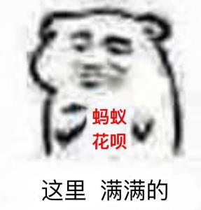 什么是花呗(为什么要还花呗)