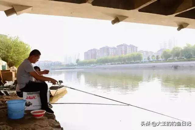 仲春是什么意思，仲夏仲春是什么意思（仲春野钓鲫鱼：深度分析）