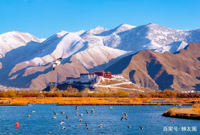 穆斯林麦加朝觐需要注意些什么，2023麦加朝觐（佛旅网资深佛旅领队分享）