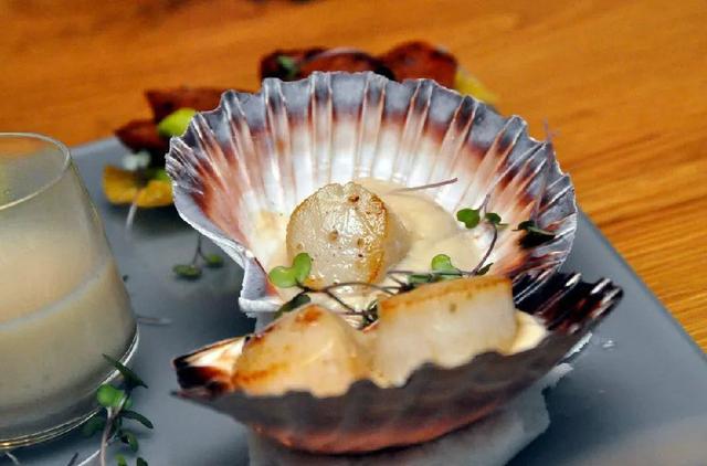 带子和扇贝的区别，带子和扇贝有什么区别（可你知道它前世今生的冷知识吗）