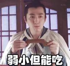 采莲曲歌词全文，采莲曲歌词全文拼音版（“却道海棠依旧”这句古风歌词太矫情）