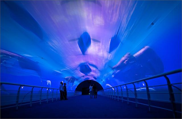 大连的旅游景点，辽宁大连有什么旅游景点（旅游必去的10个景点）