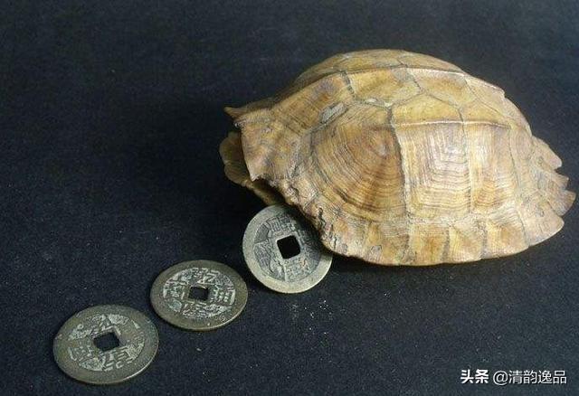 禛怎么读，羲怎么读 拼音（《说文解字》第三课）