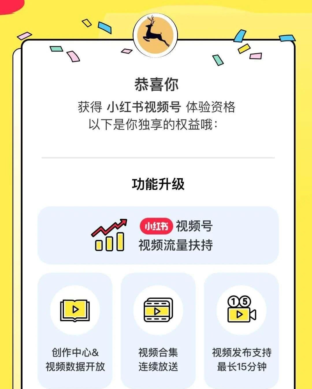 小红书pc(别让小红书毁了你的生活)