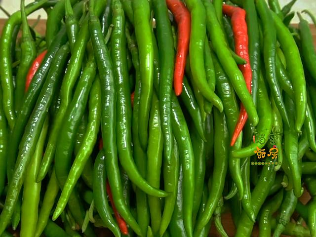 线椒怎么腌制好吃，在家怎么腌制线椒好吃（线椒学会这样腌）