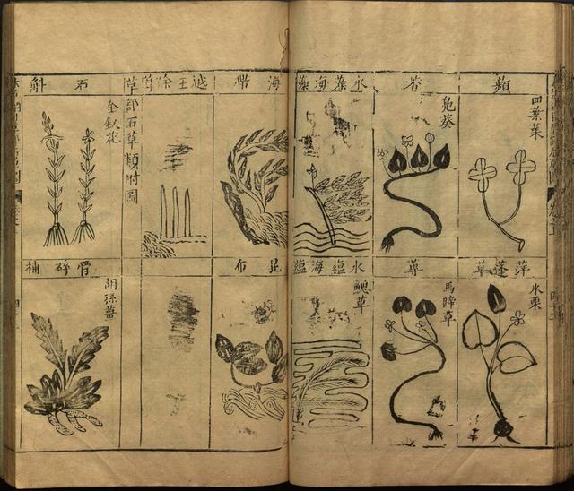 本草纲目全书带图，李时珍本草纲目全书（李时珍著《本草纲目》附图卷）