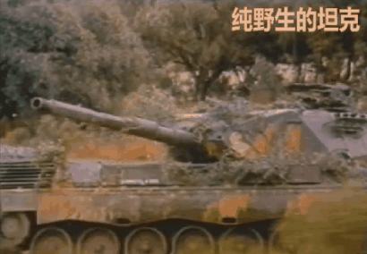 59改什么梗，59改是什么（为什么欧美坦克的负重轮是7对而我们是6对）