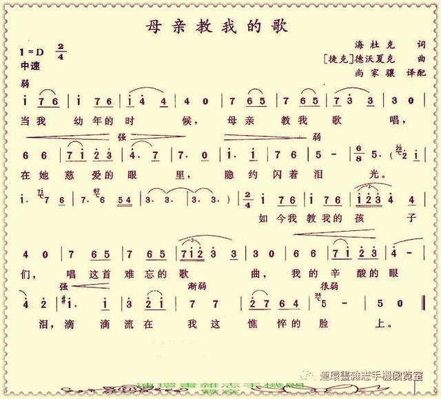 你坐着为王歌词歌谱，歌谱2020.7