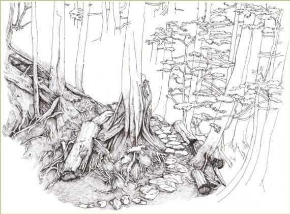 马克笔绘画教程风景画，马克笔绘画教程入门（适合初学者学习的彩铅风景画步骤教程）