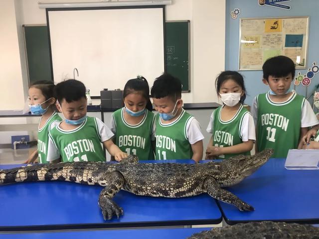 石家庄外国语幼儿园，石家庄幼儿师范高等专科学校宿舍条件怎么样宿舍图片内景（“我太想上小学啦~！”）