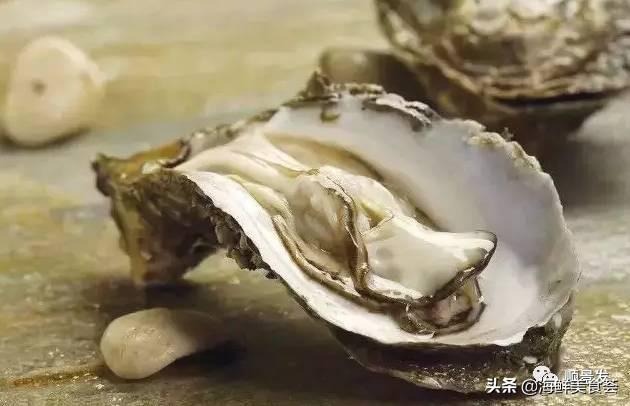 北极贝是什么生物，北极贝是什么生物类群（自然界坚不可摧的生物大家族）