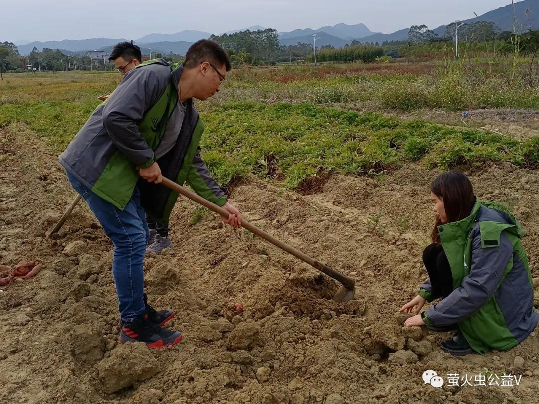 广东康力医药有限公司（企业志愿行）