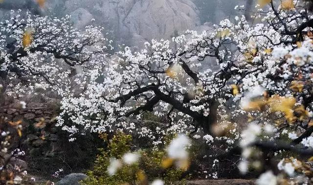 青岛景点排名一览表，青岛旅游景点大全（青岛旅游景点大全排名）