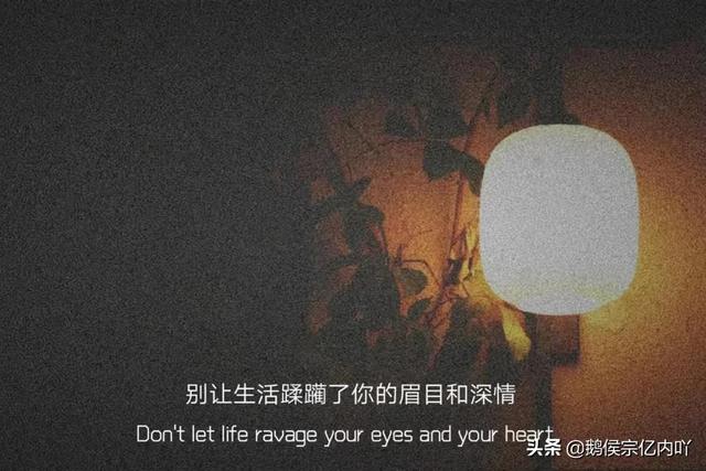 聚散不由我