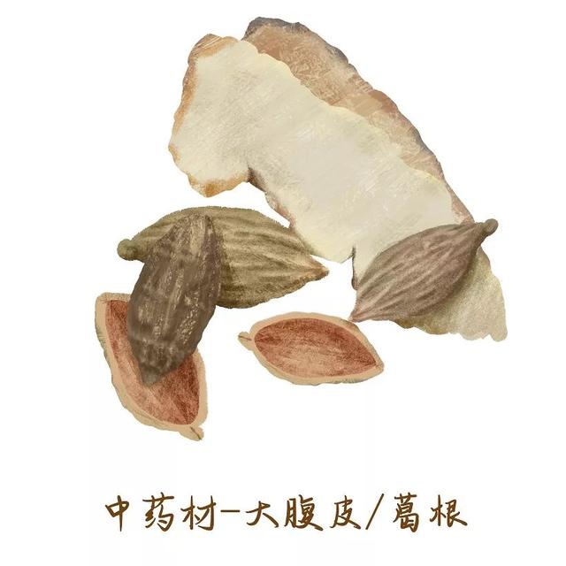 葛粉的10种做法大全，葛根药用价值高，教你如何妙用