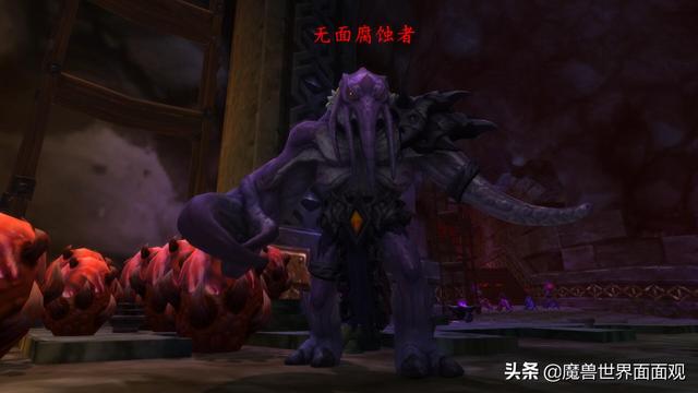 巨龙之魂副本在哪，魔兽世界巨龙之魂怎么去（恩拉基是一个什么样的种族）