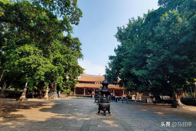 泉州地区有哪些旅游景点，泉州地区有哪些旅游景点免费（推荐打卡这3个国宝古迹）