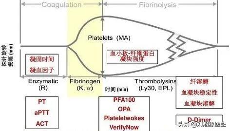 刺梨是凉性还是热性，刺梨是凉性吗（——凝血检查及易栓症）