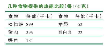 1l食用油等于多少斤，1l油等于多少斤（1斤油=40斤圆白菜）