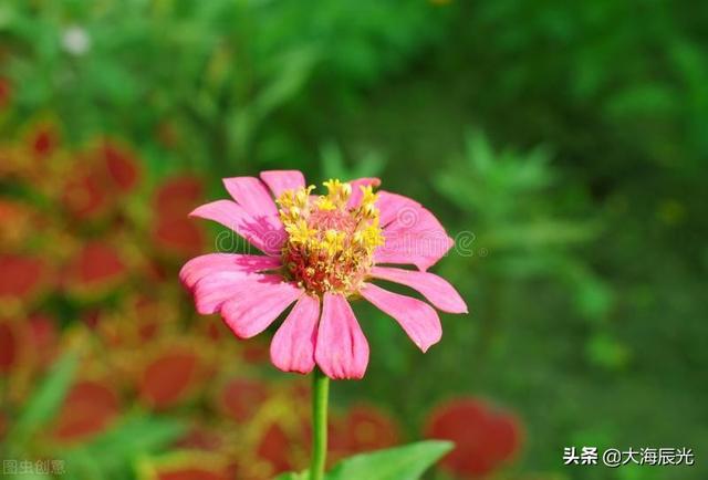 描写傍晚的句子，描写傍晚的优美句子（傍晚时光，自在安然）