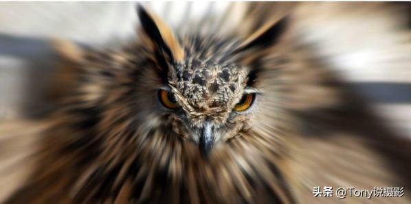 什么是快速镜头和慢速镜头，慢速镜头叫什么（超炫的摄影技巧——拉爆拍摄）