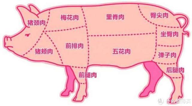 广东正宗叉烧肉家常做法，小白版广式叉烧肉