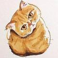 爱猫 头像