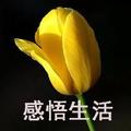 认真感悟生活 头像