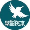 翠鸟资本 头像