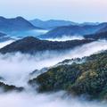 穿越深山 头像