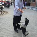 小丽养狗记 头像