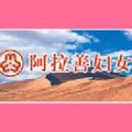 阿拉善妇女 头像