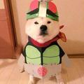 欧阳思 头像