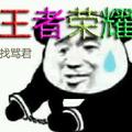 王者找骂君 头像
