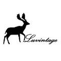 小鹿luvintage 头像