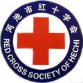 河池市红十字会 头像