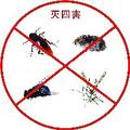除四害药品 头像