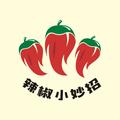 辣椒小妙招 头像